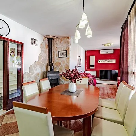 Kiara * 科尔丘拉